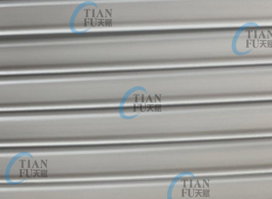 DOUBLE CORE METAL NOSE WIRE STRIP